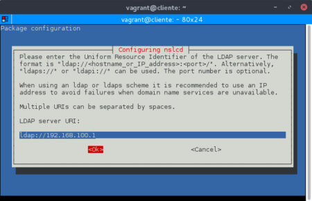 Introducción de la URI del servidor LDAP.