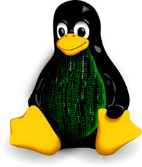 Tux, la mascota de Linux.