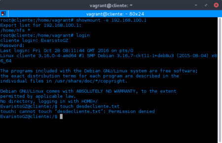 Captura de pantalla de la ejecución del comando showmount y login.
